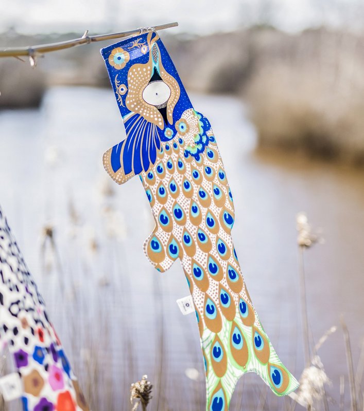 PEACOCK KOINOBORI (KOI2.7/S)