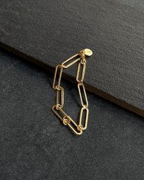 Kæde armbånd | Link mønt | Guld