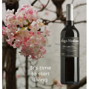 Crianza red wine D.O.Ca. Rioja Vega Medina