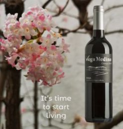 Vino rosso invecchiato D.O.Ca. Medina della Rioja Vega