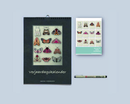 Studio Angelart
