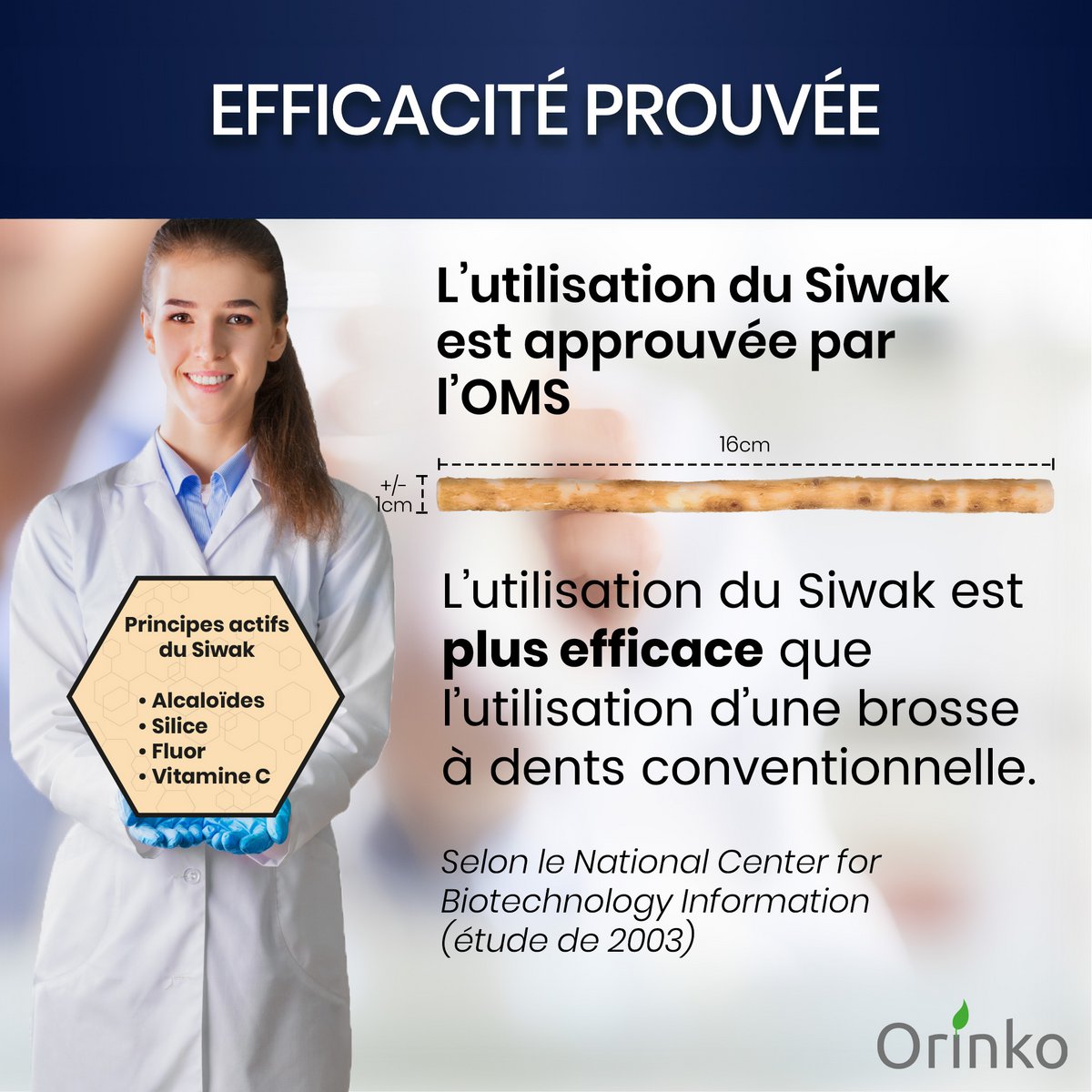Bulk Siwak sticks - 100% natural toothbrush - cleanser, disinfectant and whitening - ecological, biodegradable and vegan