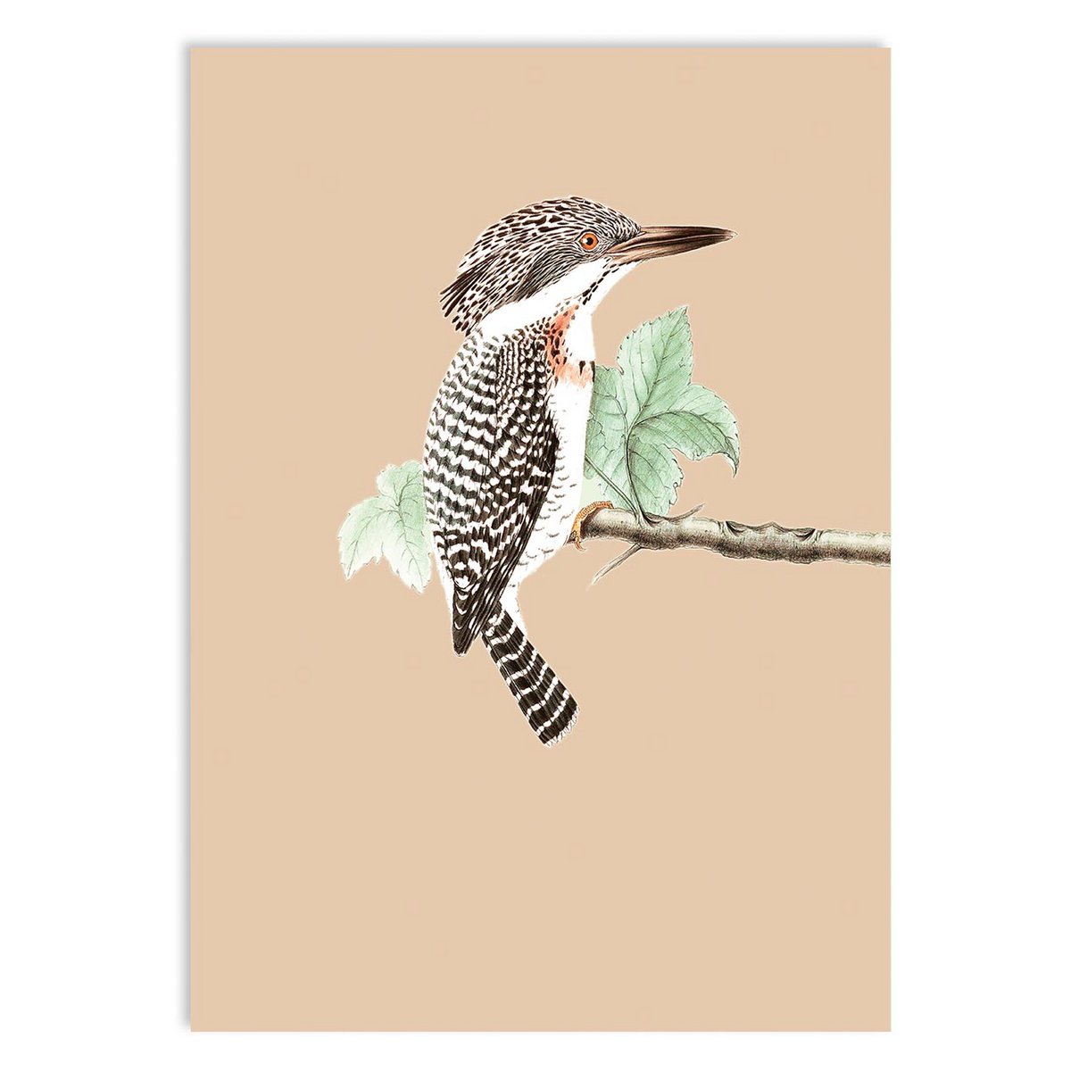 Miniprint A5 Turista