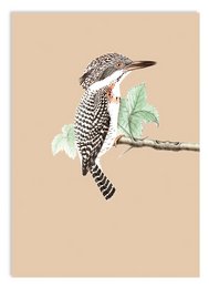Miniprint A5 Turista