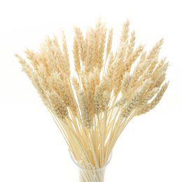 Dried wheat stems, bleached, in a bouquet. The stems have a golden, wheat-like appearance and are arranged in a decorative manner.