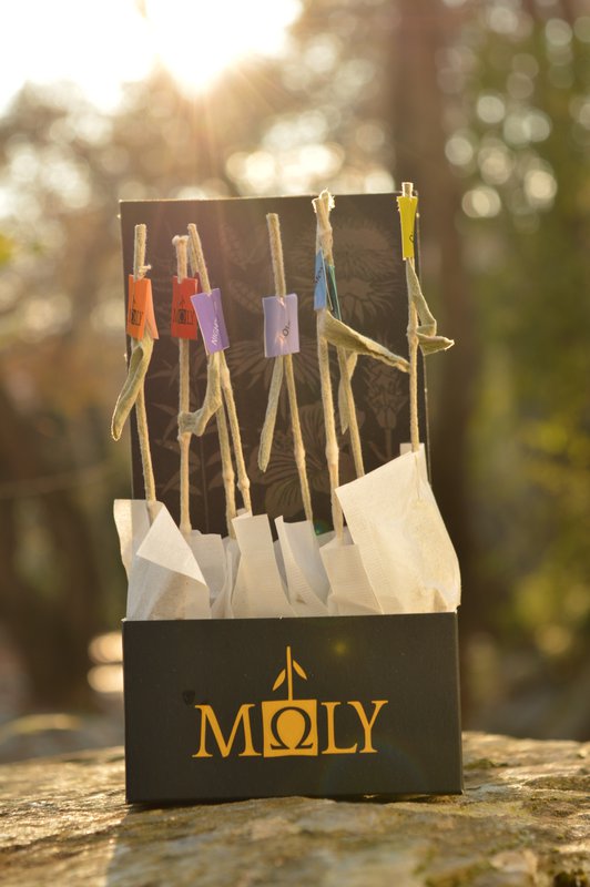 MΩLY "Variedad" – 8 Tés de Hierbas con Tallos de Hierbas Naturales