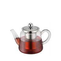 Borosilicaatglas theepot met theefilter 450 ml