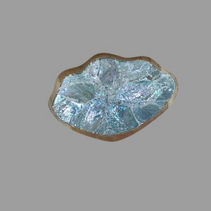 Teller Abalone. DS 01