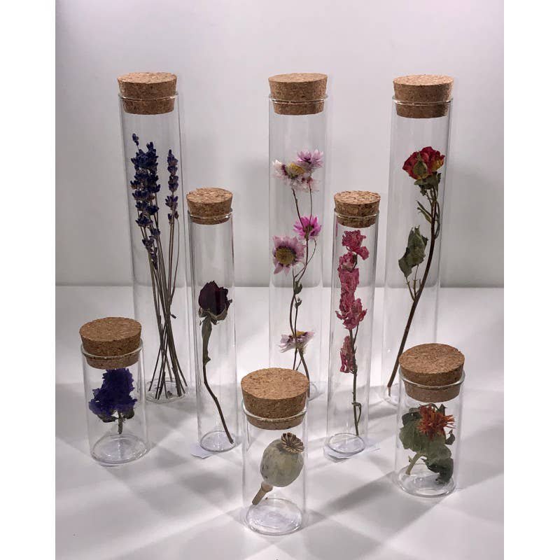 TUBE 15 CM WITH DRIED FLOWER - Gift