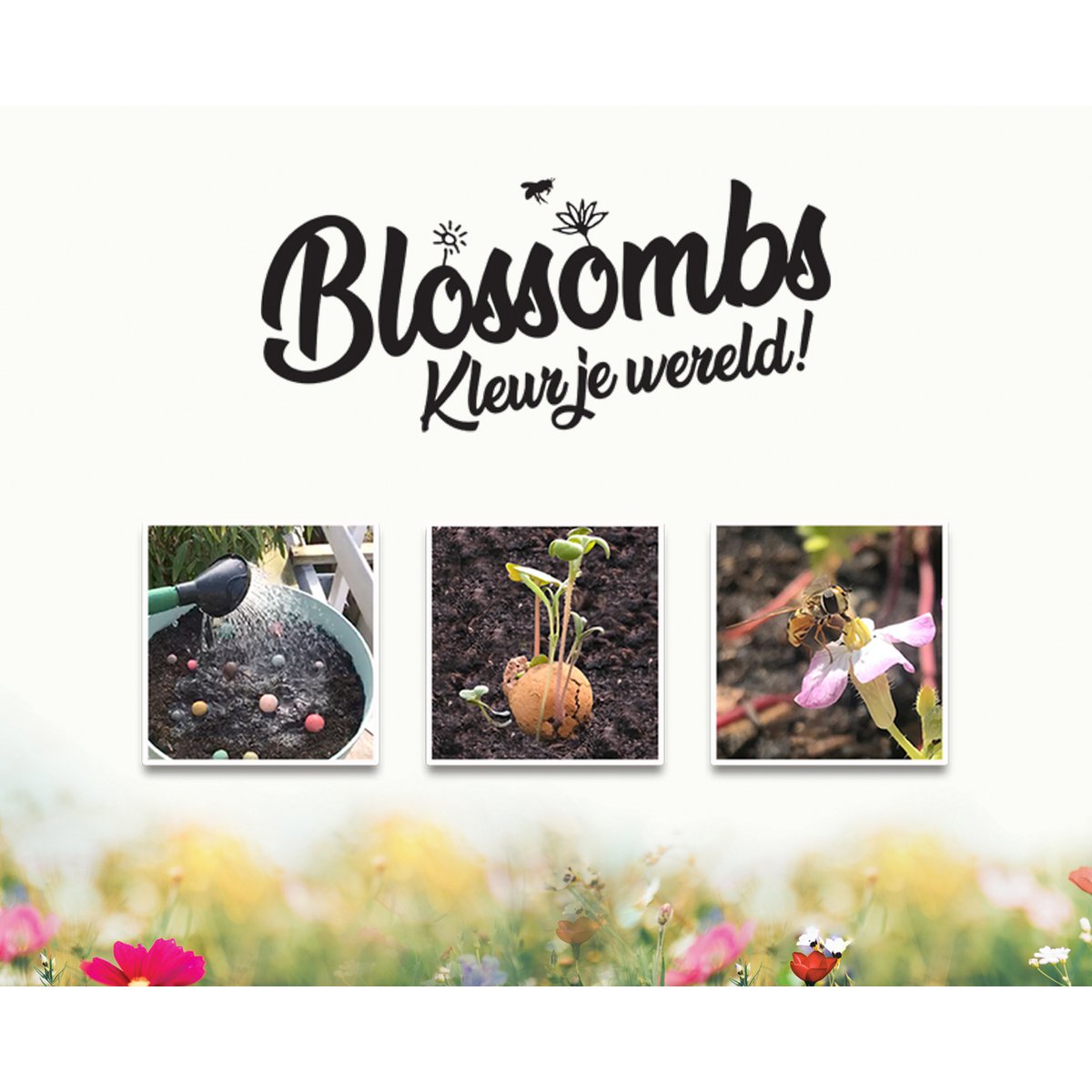Giftbox Medium with 9 Flower Seeds - Merry Christmas & Happy New Year