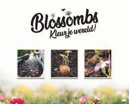 Giftbox Medium with 9 Flower Seeds - Merry Christmas & Happy New Year