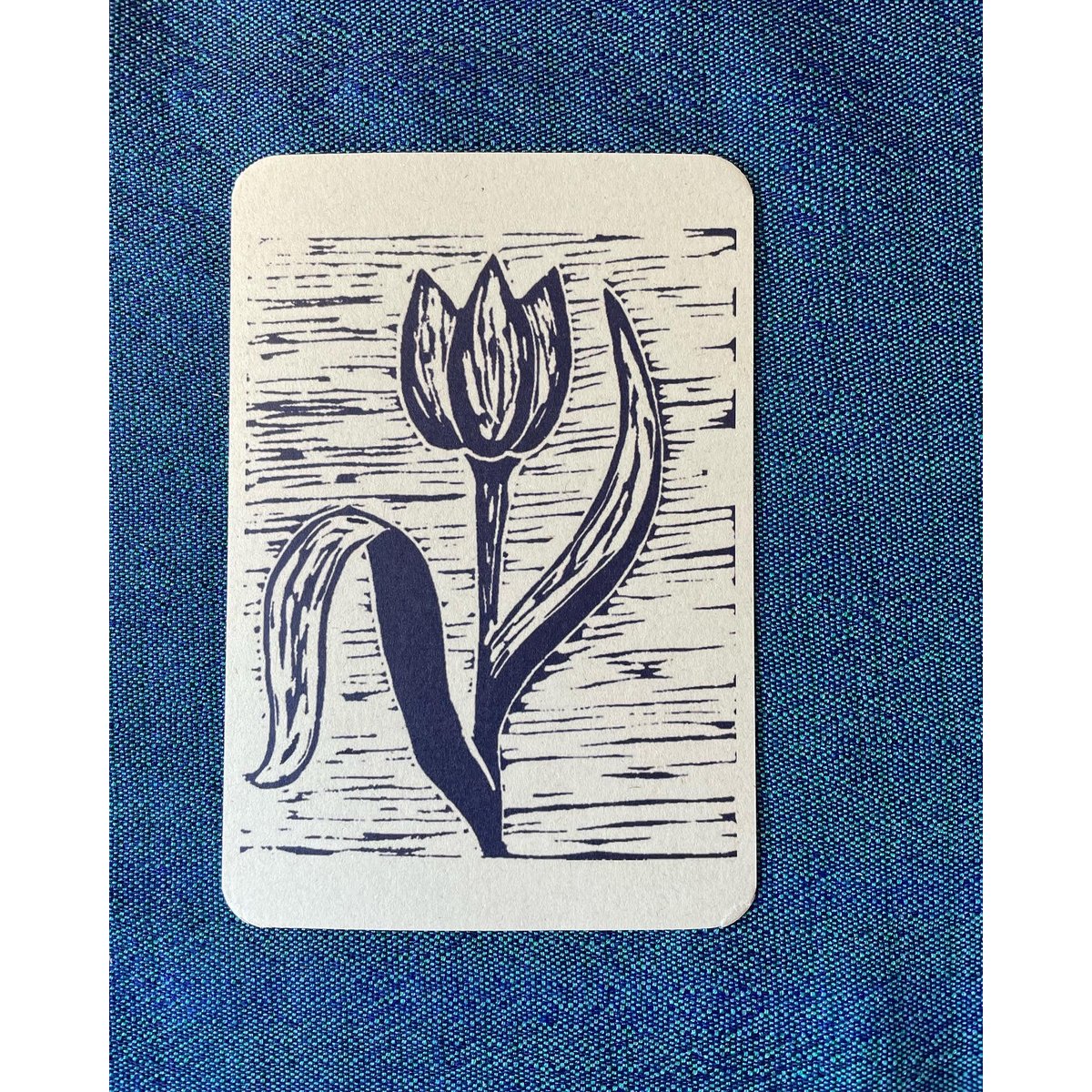 Postal de tulipán