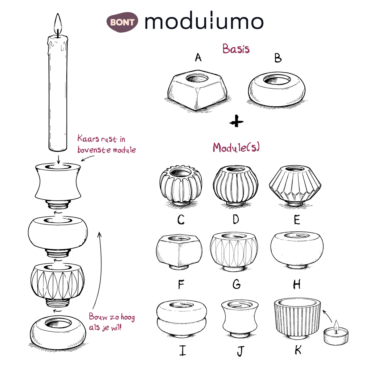 Modulumo – Basisset – 50 modules