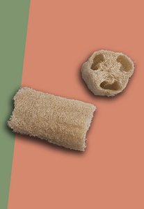 Jungle sponge extra large