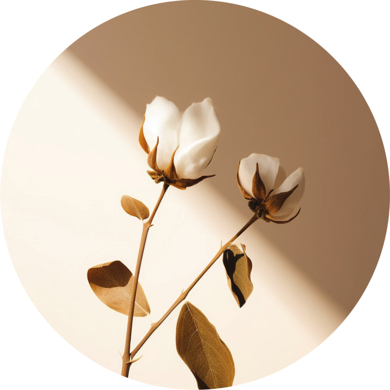 Muurcirkel pequeñas flores blancas