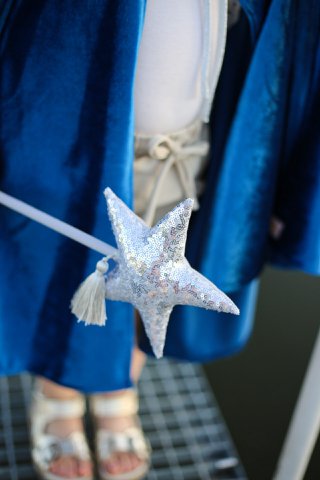 “Silver Sequins” Wand