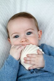 Lanco - Morso giocattolo guscio piatto