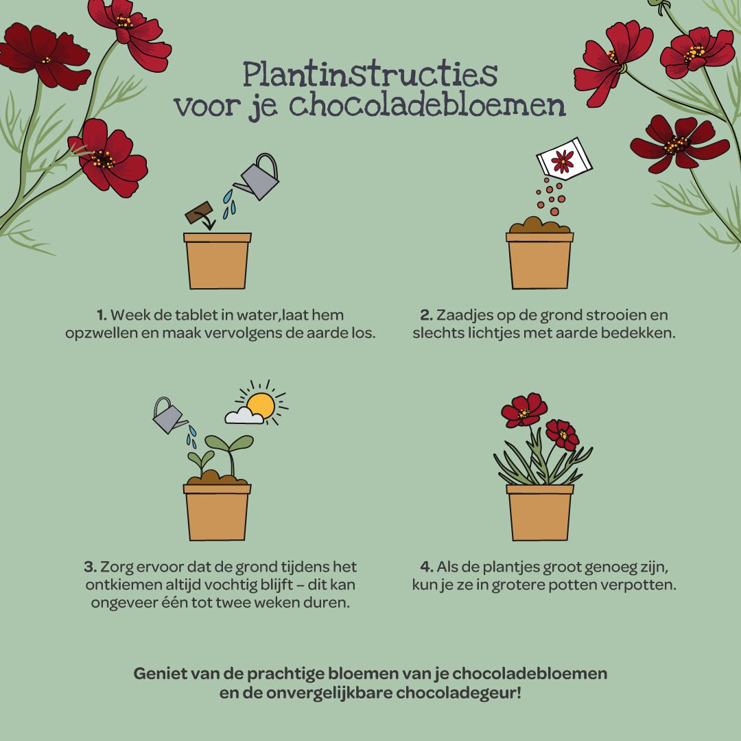 Chocoladebloemen uit de beker (NL)