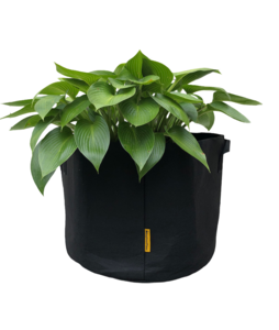 Bag Black (L)