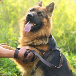 Soft leather leash from the Fluffy Puppy brand, length 175 cm, width 3 cm, hand made!