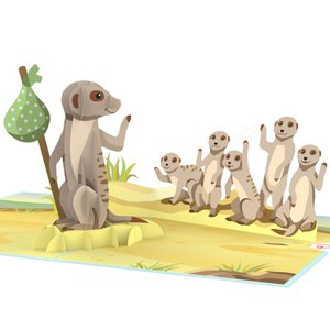 Take care meerkat pop-up card
