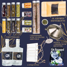 LOUISE & GASTON® Homemade Gin Kit – Box mit Gewürzen und personalisiertem Kreationszubehör, ideales einzigartiges Geschenk für Weihnachten, Geburtstag oder Valentinstag, unvergleichliches DIY-Verkostungserlebnis