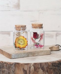 Trockenblumen im Glas - 7,5 cm / 12,5 cm