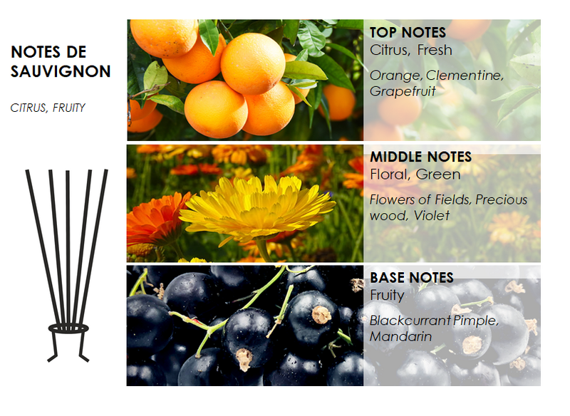 NOTES DE SAUVIGNON "ADORE" LUXURY HOME FRAGRANCE
