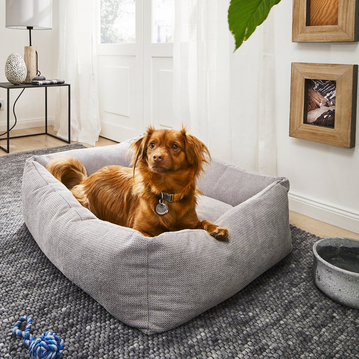 TUDOR ORTHO | Premium Orthopedic Dog Bed