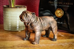 Figurine Bouledogue Anglais