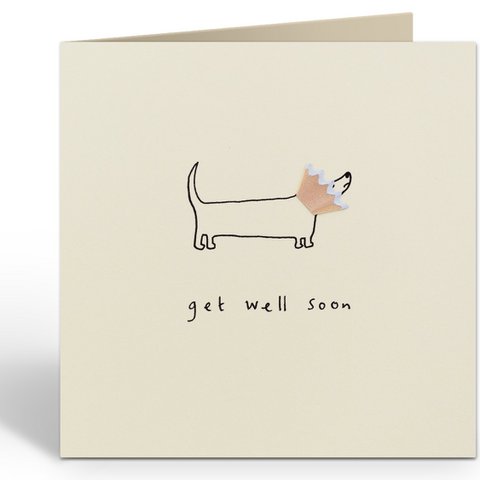 PSC132 - GET WELL DOG ​​CONE