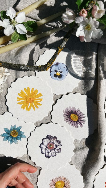 Coaster/Coaster 10 motifs flowers - 12 sets