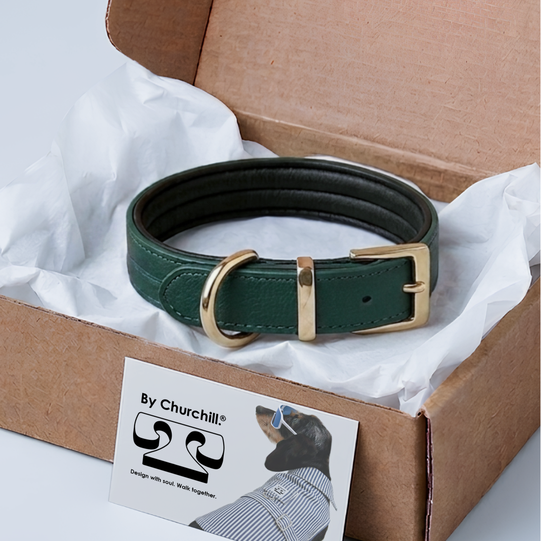 COLLIER CHURCHILL. Vert Sapin – Collier chien cuir wegańskie