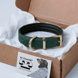 COLLIER CHURCHILL. Vert Sapin – Collier chien cuir vegano