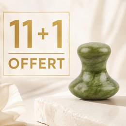 Advantage Sale Pack 11 + 1 Free - Champi Gua Sha for Face and Body Green Jade