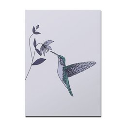 Postkarte Kolibri