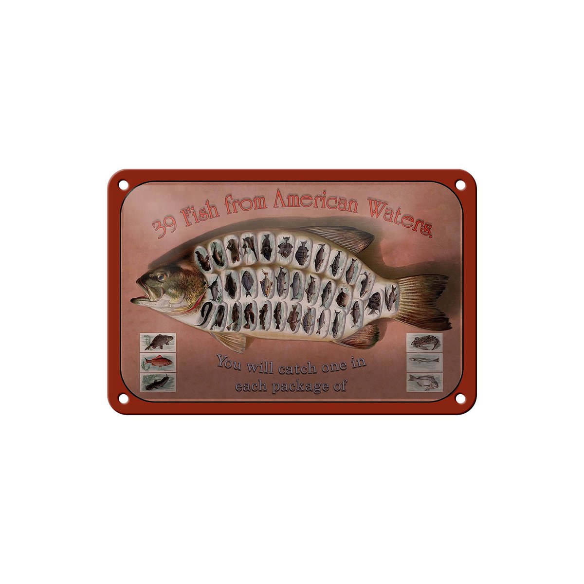 Tin Sign Fish 18x12cm 39 Fish from American Waters Decoration