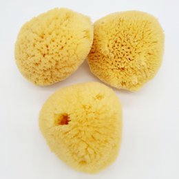Natuurlijke gezichtssponzen, set van 50, bulk