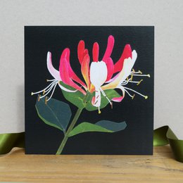 Honeysuckle Card (blomsterkort)