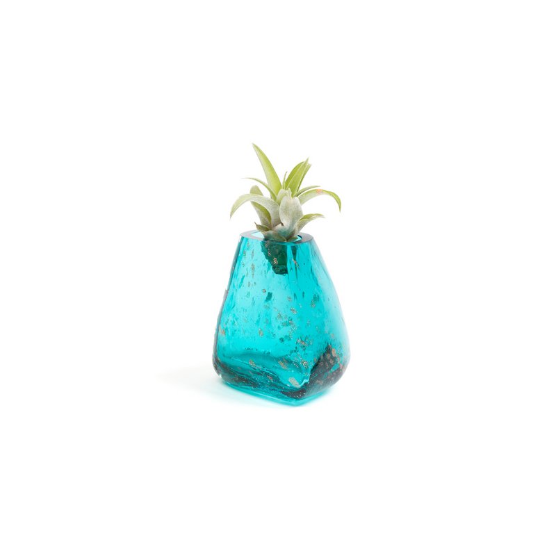 Gemma lille vase (med Tillandsia-plante)