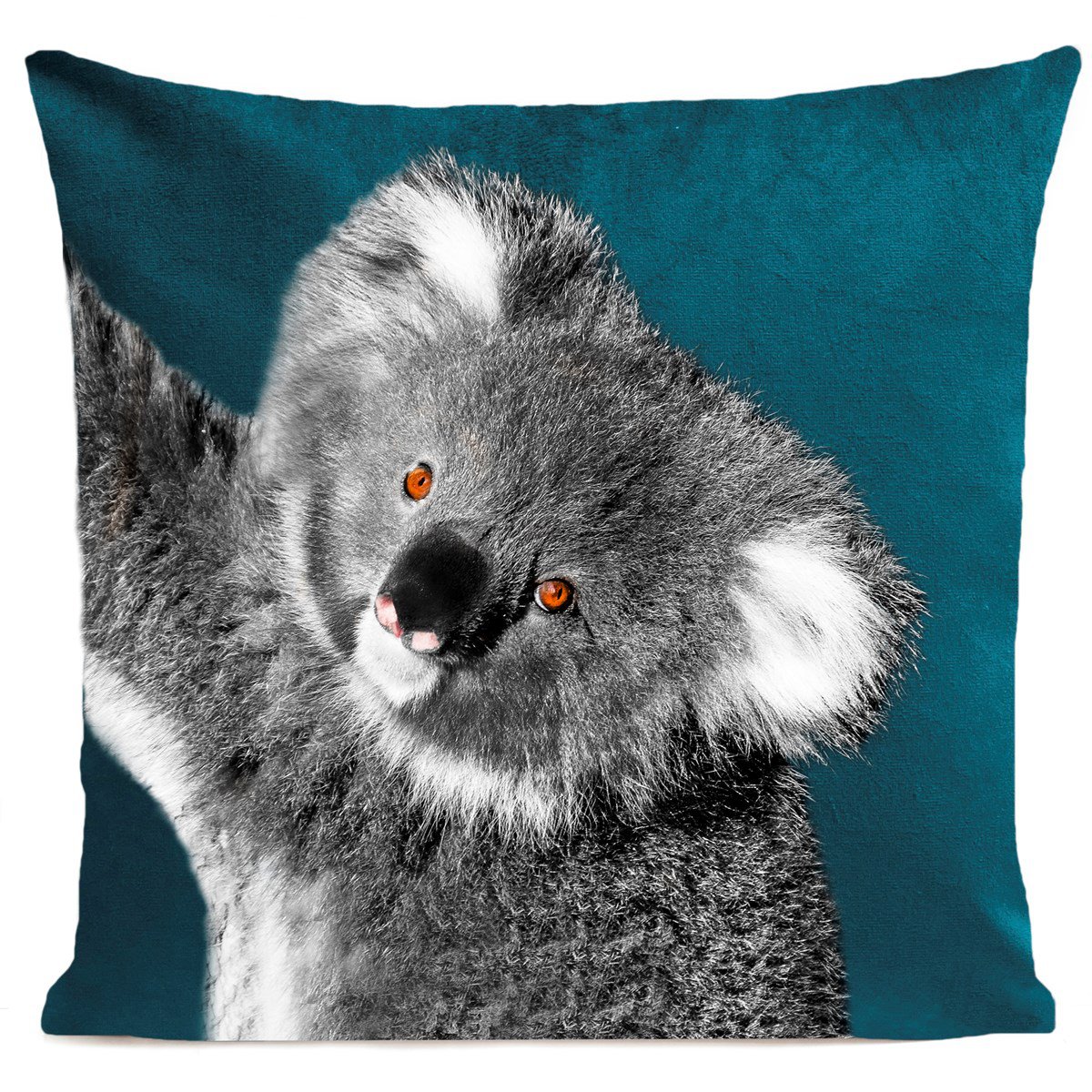 Koala cushion, Chouki