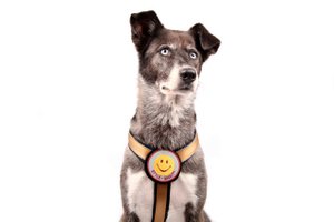 Stickers - Patch it! - Smiley, 8cm