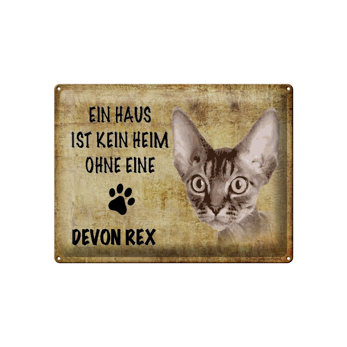 Metal sign saying 40x30cm Devon Rex cat without no home