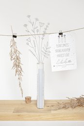 100 momentos de felicidad - Anímate... %23flores de campo (semillas en papel de cultivo)