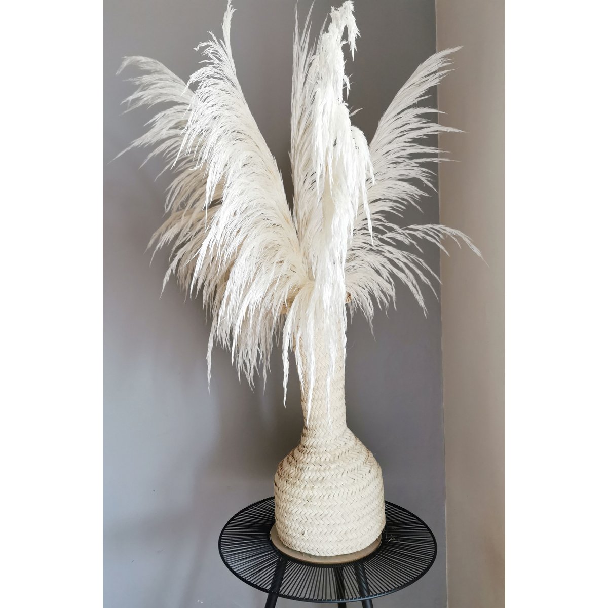 Pampa Grass , Preserved, White +/- 80cm, 1 stem