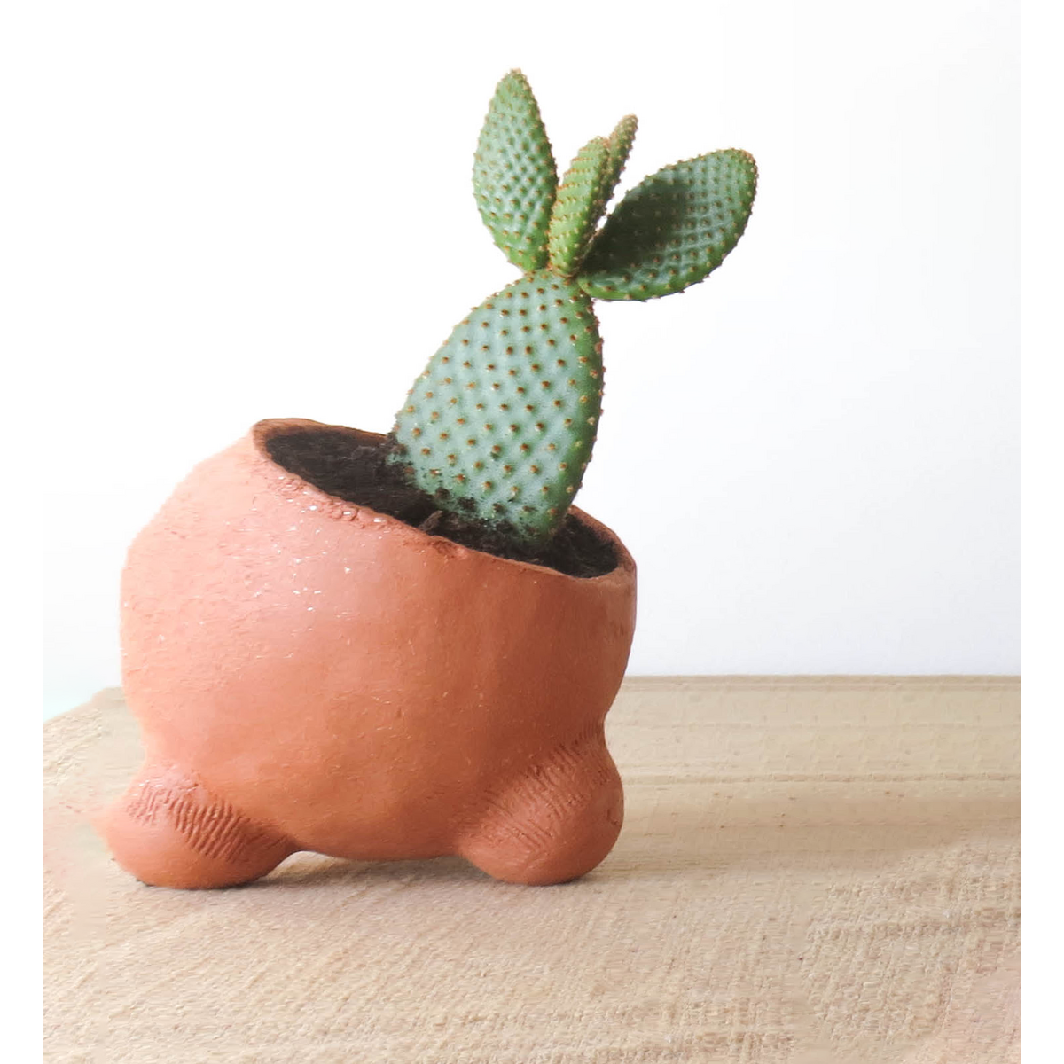 Rodolphe Terracotta Plantenbak