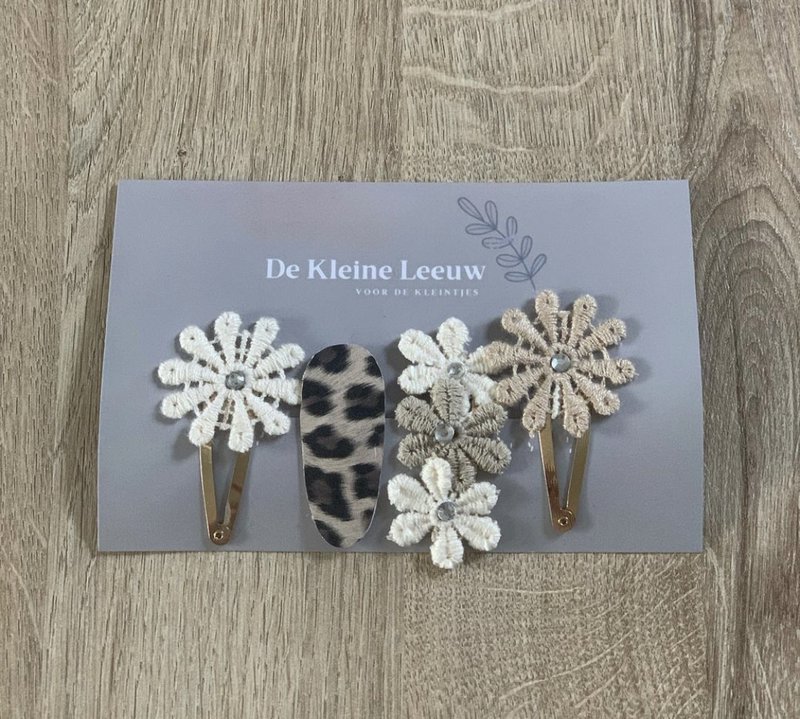 Set of 18 hair clips