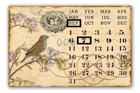Metal calendar Bird's song 25x38 cm