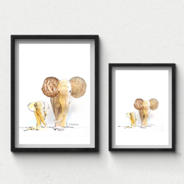 Watercolor painting of shell-shaped elephant figures, available in two sizes (A4 and A3). The artwork features a unique and whimsical design, showcasing the natural beauty of seashells.