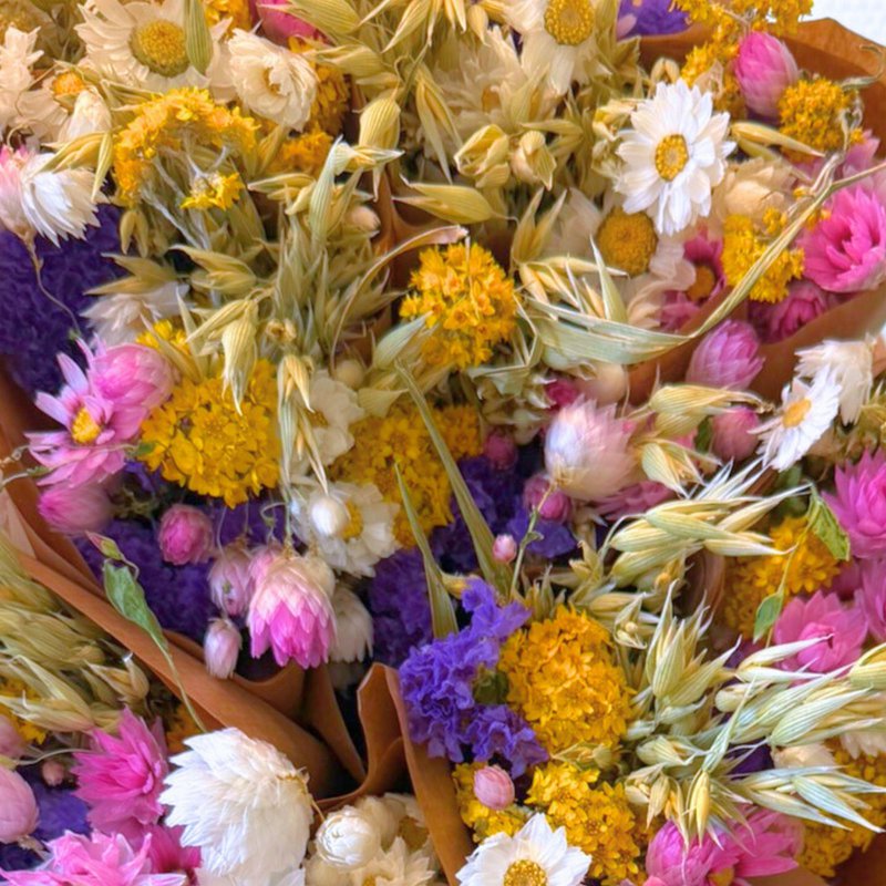 Getrocknete Blumen - Markt mehr - Niederländisch